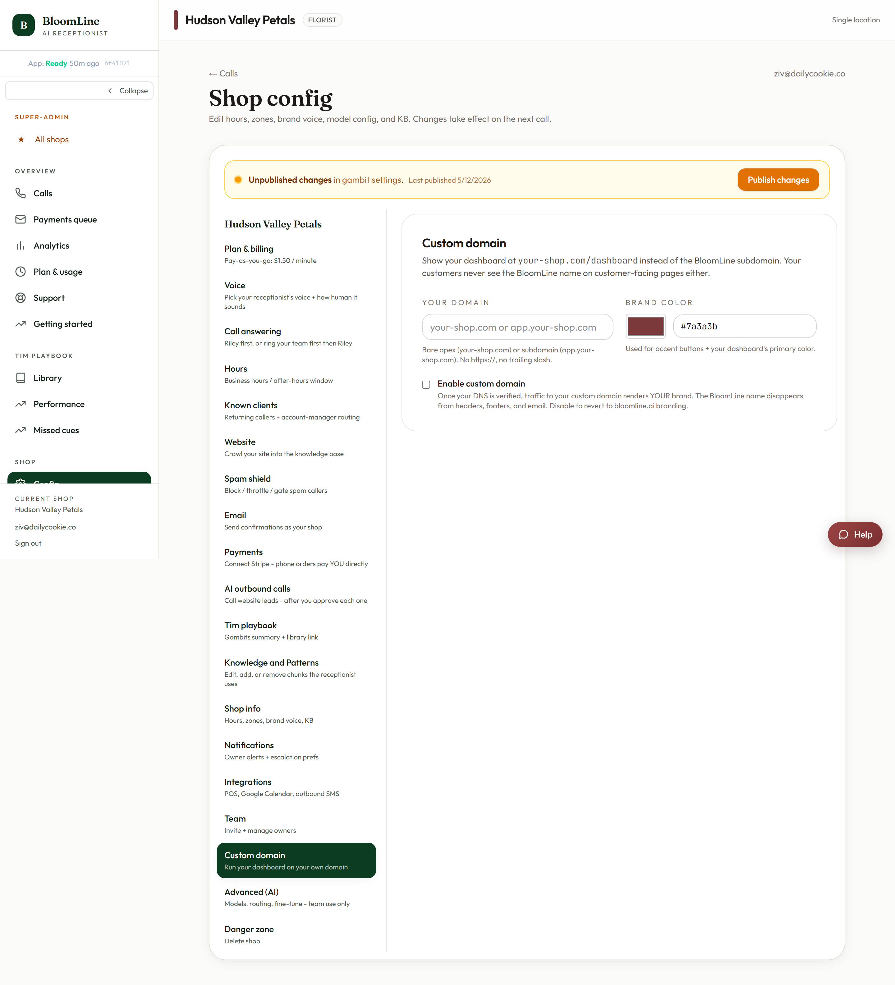 The Custom domain tab with the domain field, brand color field, and Check DNS now button